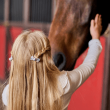 Barrettes clic-clac petits noeuds serenade rouge gris