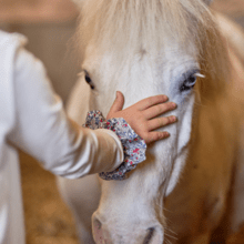 Chouchou serenade rouge gris