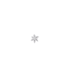 Barrette fleur étoile broderie anglaise
